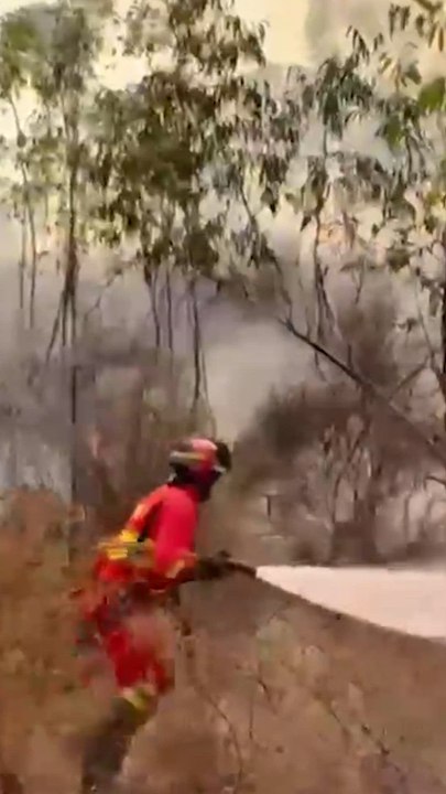 El incendio de Niebla (Huelva) mantiene a cientos de personas desalojadas tras recorrer 8.000 ha
