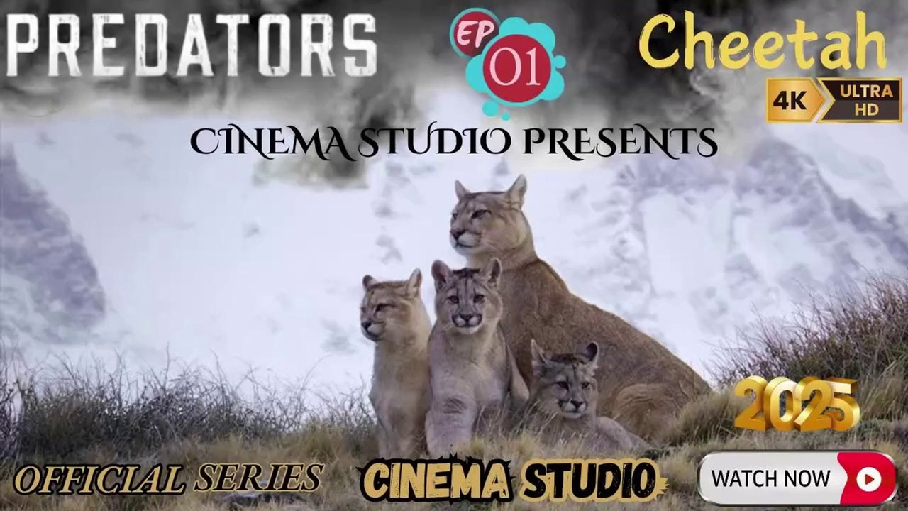 PREDATORS - Season 1 | Episode 1 - CHEETAH | Na...