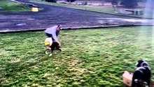 Funniest Animal Videos  😂 Pets Have No Idea How Funny They Are