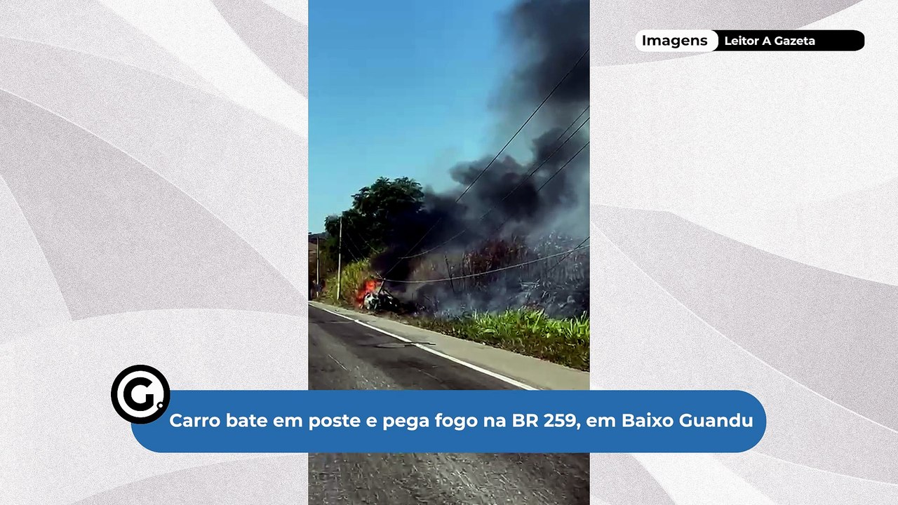 Carro bate em poste e pega fogo na BR 259, em Baixo Guandu