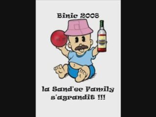 Sand'Econner : Sandball de Binic 2008