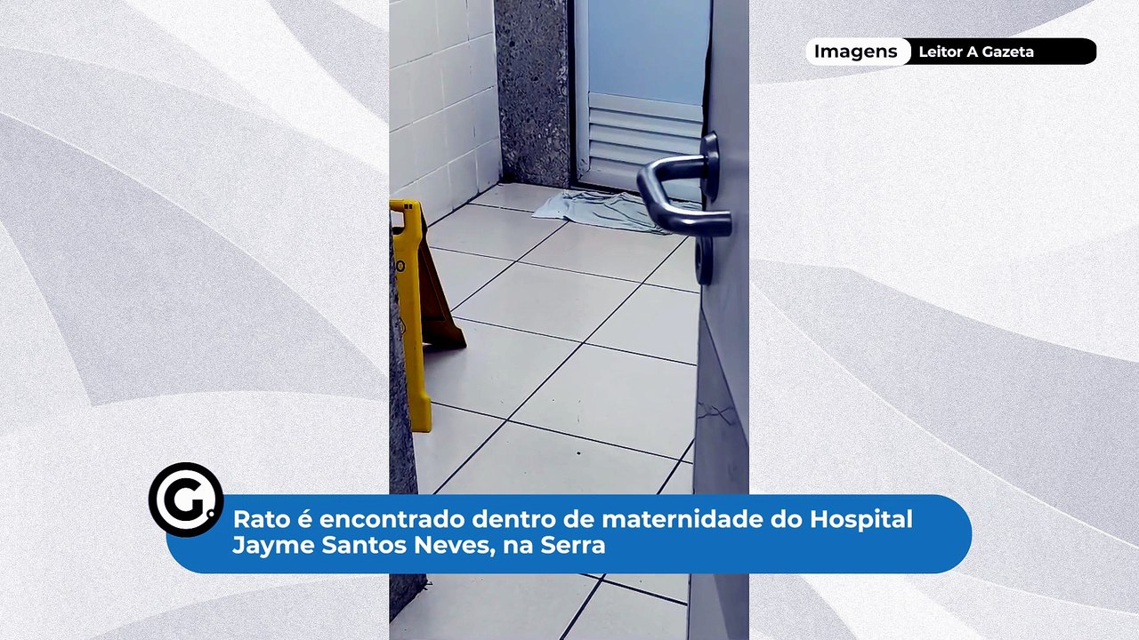 Rato é encontrado dentro de maternidade do Hospital Jayme Santos Neves, na Serra
