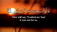 ﴿ قَالُوا سُبْحَانَكَ مَا كَانَ يَنْبَغِي لَنَا أَنْ نَتَّخِذَ مِنْ دُونِكَ مِنْ أَوْلِيَاءَ ﴾
