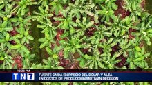Edición nocturna de Telenoticias – 05 mayo 2026 [Full Movie]