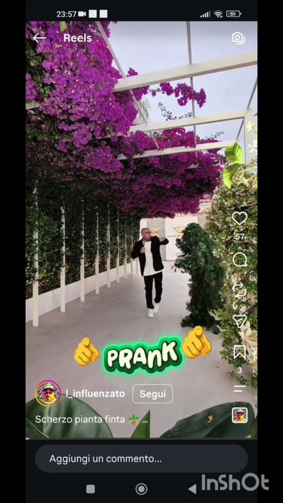 Scherzo pianta finta