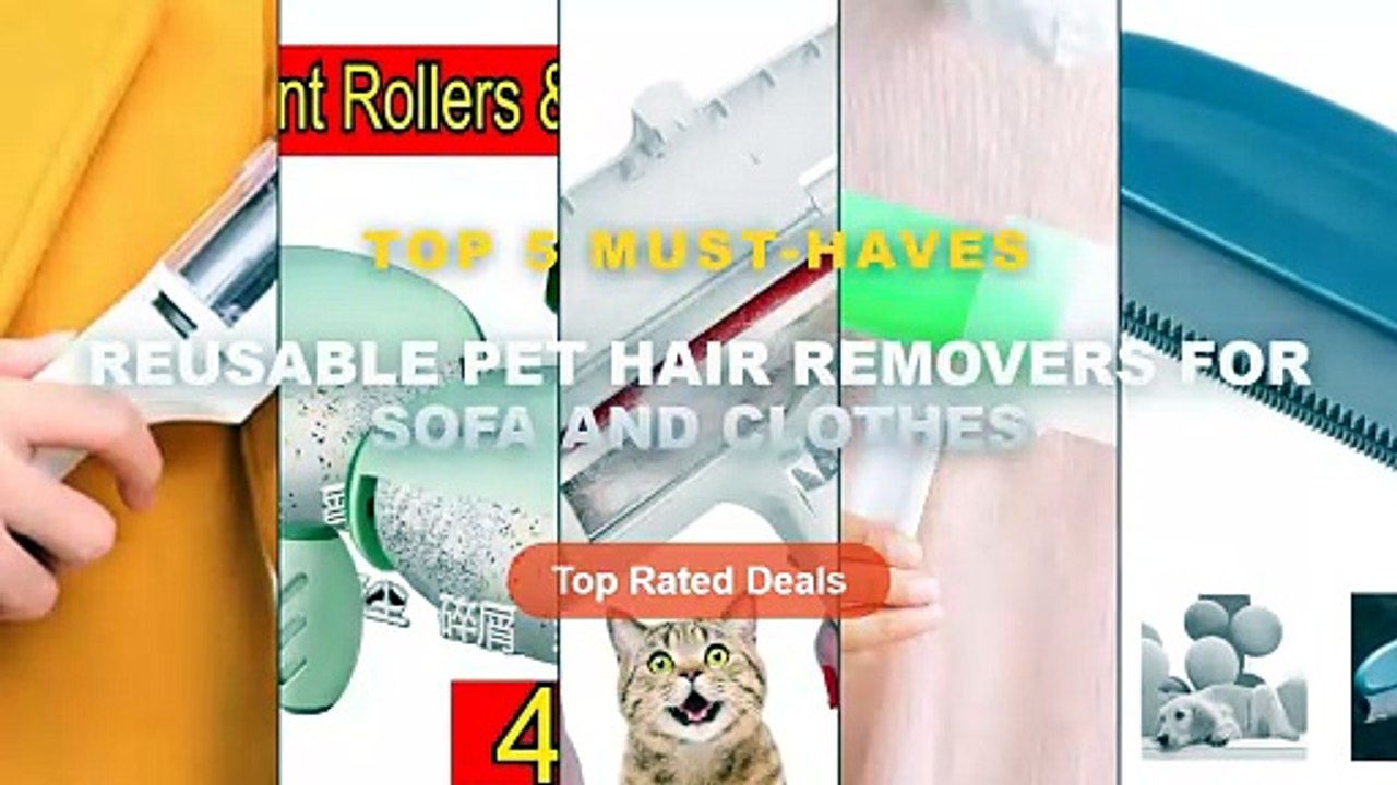 Best Reusable Pet Hair Removers For Sofa And Cl...