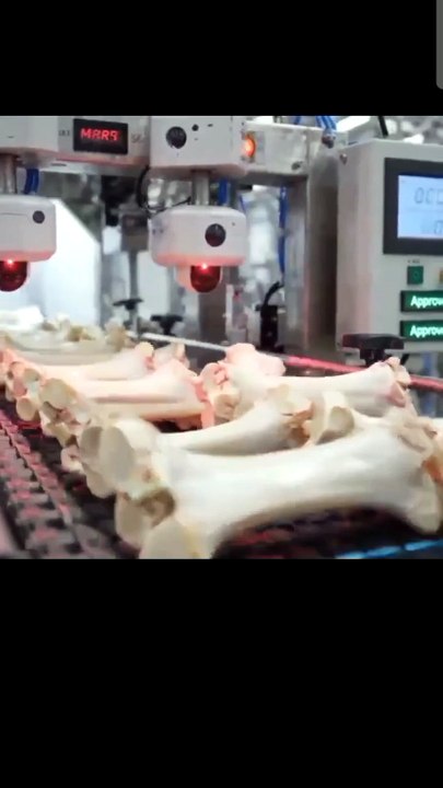 Inside a Modern Food Factory 🤯 | Amazing Indust...