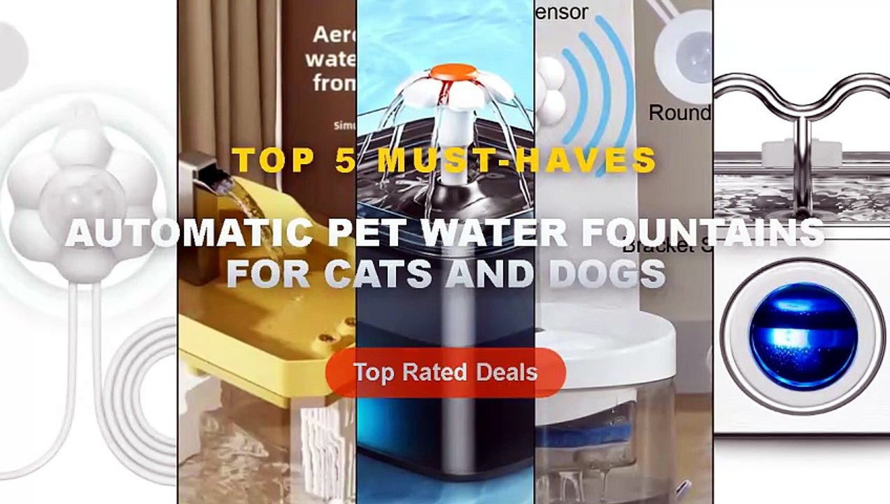 Best Automatic Pet Water Fountains For Cats And Dogs on AliExpress | Review