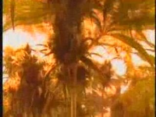 de la skunk de tres bonne qualité