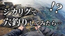 【穴釣り】ジカリグで穴釣りしたら良型カサゴが連発します！