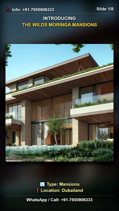 Dubailand Luxury: The Wilds