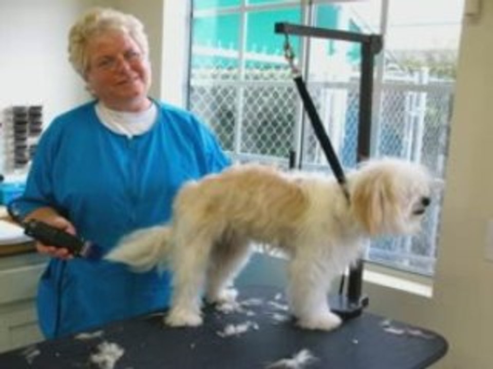 Mar Mel Pet Grooming & Boarding, Long Beach, CA