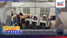 Pet evacuation area, binuksan sa Brgy. Bagong Silangan para sa mga nasagip na alagang hayop | Unang Balita