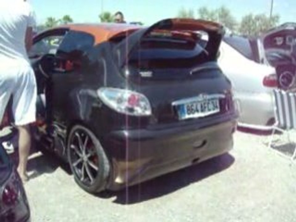 rupteur 206