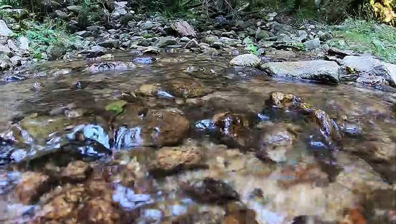 "Bien-être" l'eau qui coule et cloche - Relaxation - Détente