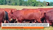 CABAÑA DOÑA MAGDA GRAN CAMPEÓN HEMBRA Y CONSIGUIENDO EXCELENTES PRECIOS EN EL REMATE