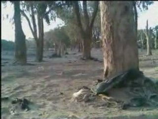 Sidi mokhtar - propreté -