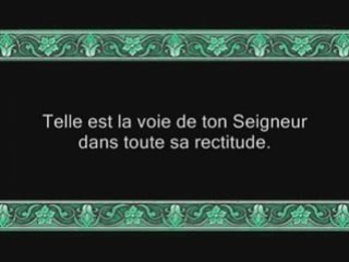 Sourate 6: Al An'am (Les Bestiaux) versets 111 à 140