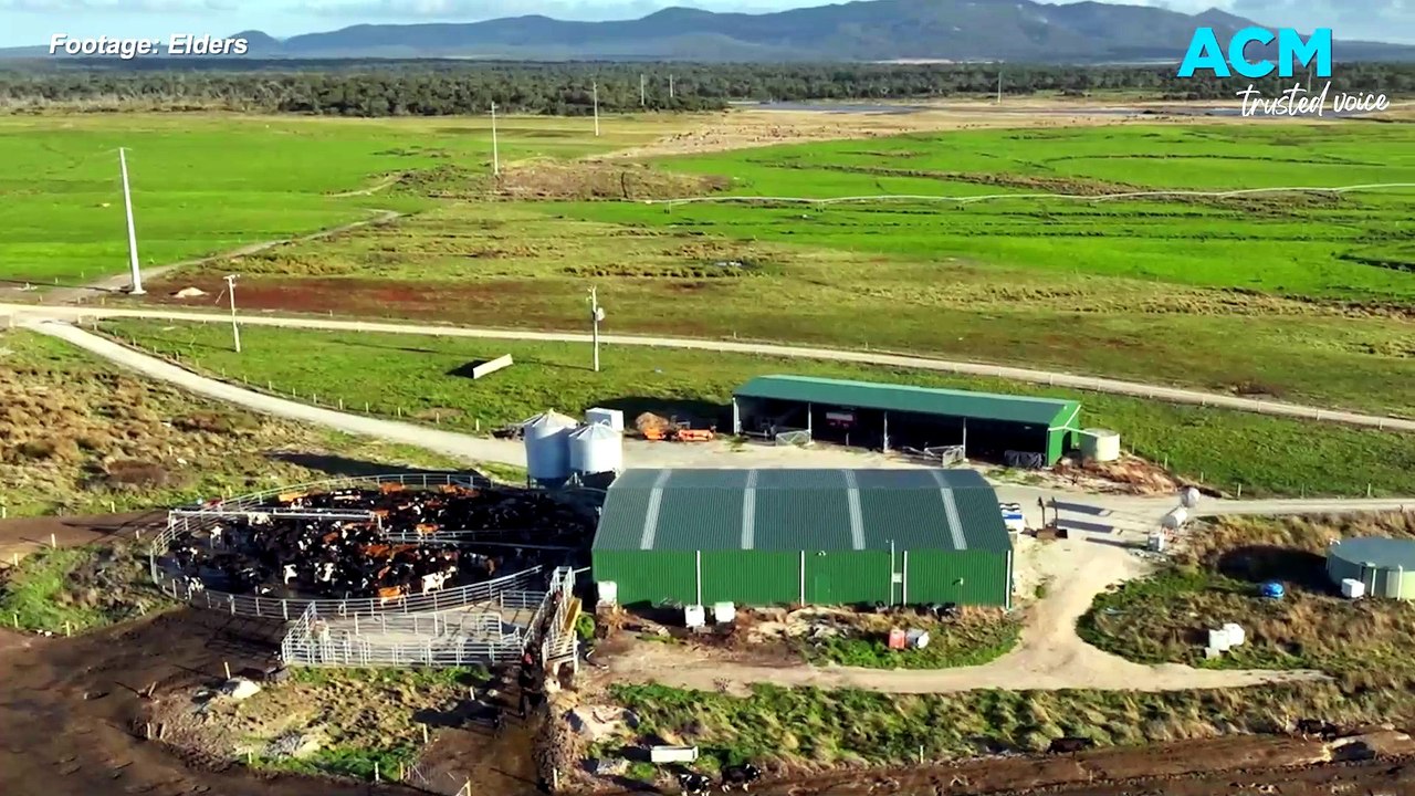 Tassie’s biggest farm under scrutiny after controversial ‘carbon credits’ sale