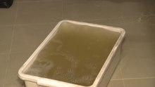 서울 수색동 아파트 배관 누수로 한때 침수...주민 불편 / YTN