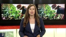 TVA Nouvelles CIMT 12h 10 août 2026