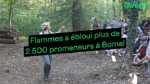 Flammes 2026 a ébloui plus de 2 500 promeneurs à Bomal: "Conte annulé, les 3 petits cochons se sont fait manger"