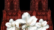 Son et lumière Hommage à Jeanne d'Arc Complet