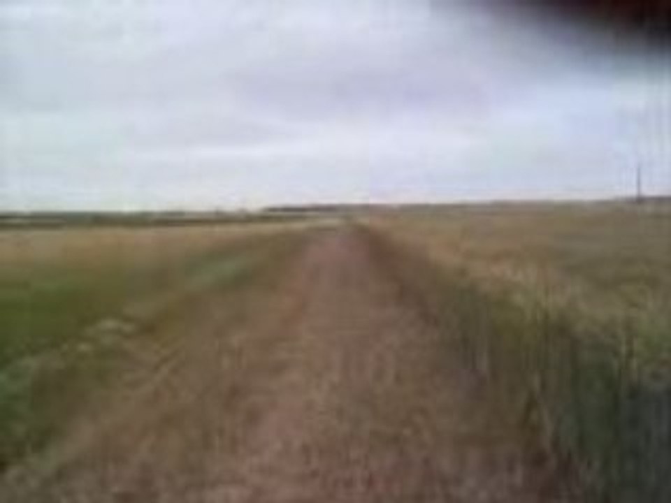ltr450 @ champs