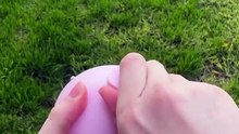 The Spherical Pet Water Bottle — 47% Off Portable Pet Hydration
