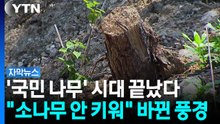 야산에 소나무 다 없앴다..."이게 더 보기 좋다" 달라진 풍경 [자막뉴스] / YTN