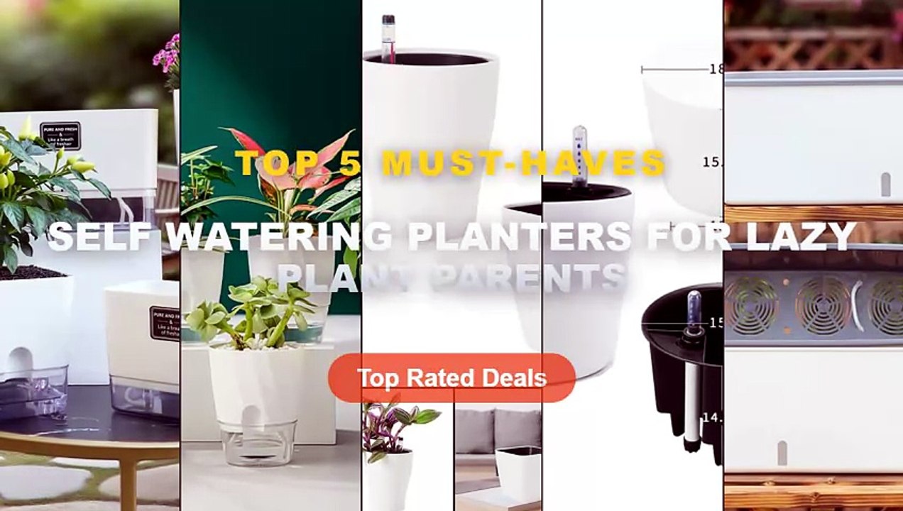 Self Watering Planters For Lazy Plant Parents: Top 5 Best Sellers - 1Pc Indoor Plants Self Watering Pots Plastic Flower ...