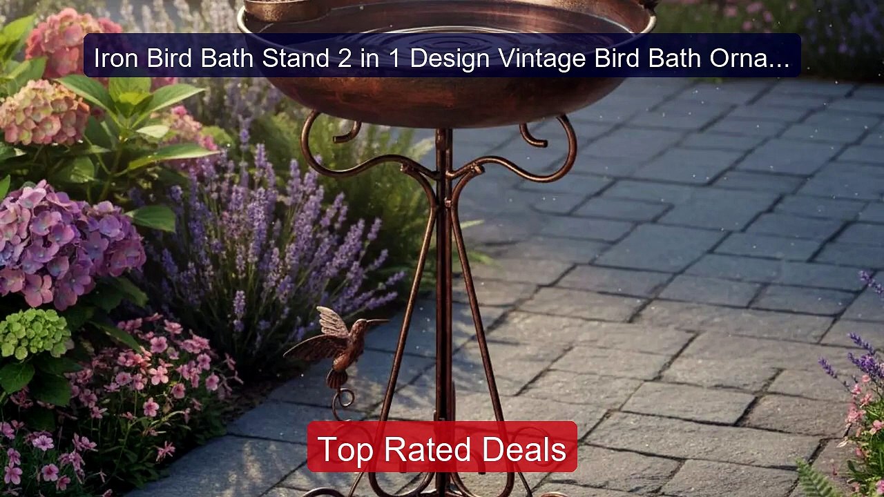 Iron Bird Bath Stand 2 in 1 Design Vintage Bird Bath Ornament ... -- Hot Deal 2026 | Limited Offer!