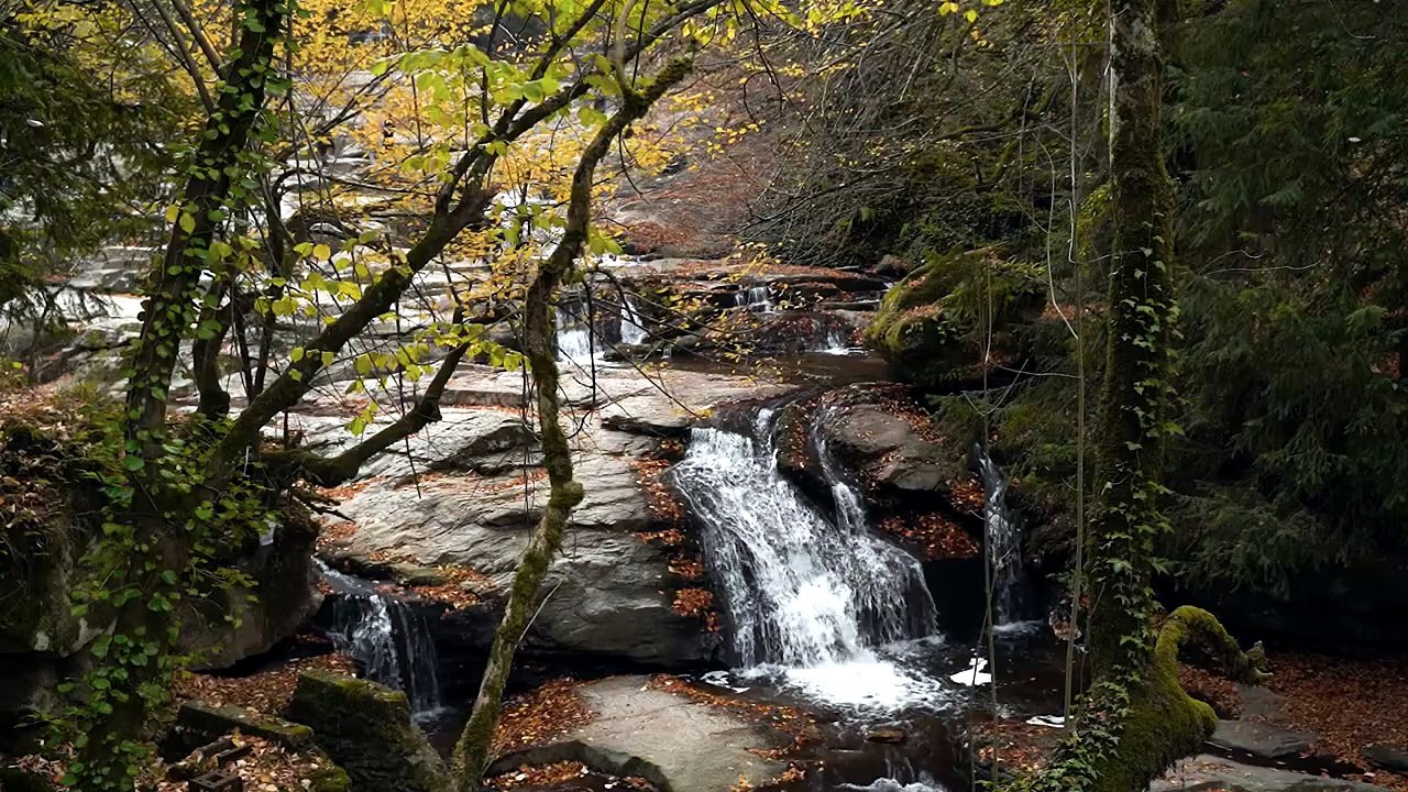 Sons de Rivière Apaisants 💧 Bruit de l’Eau pour Dormir, Étudier et Méditer _ Relaxation Nature