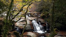 Sons de Rivière Apaisants 💧 Bruit de l’Eau pour Dormir, Étudier et Méditer _ Relaxation Nature