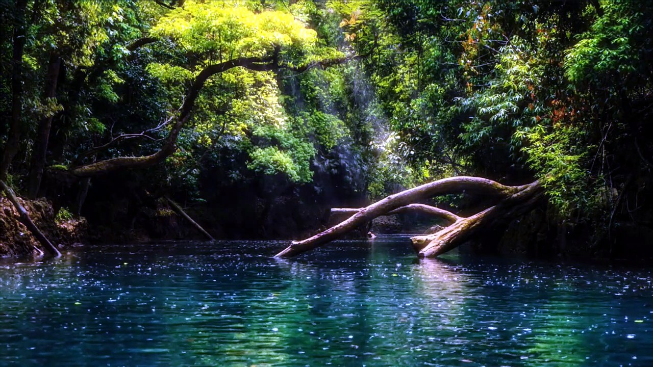 Méditation pour le sommeil profond 🌙 S’endormir rapidement _ Musique relaxante anti stress