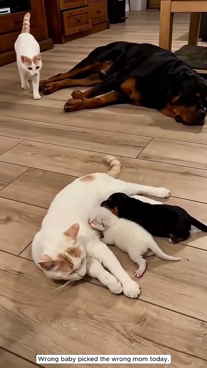 It seems that someone is in the wrong place.