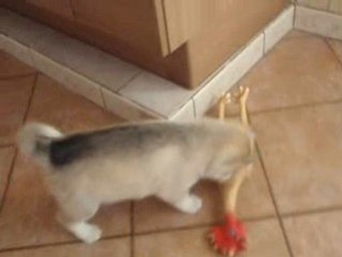 Photo du nouvel appareil photo 404