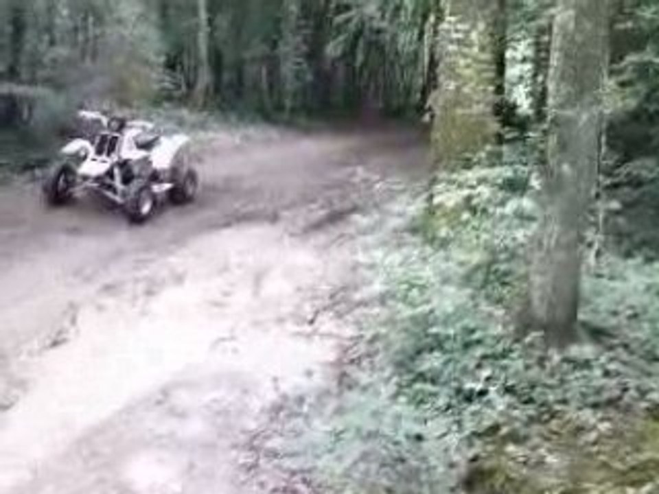 raptor