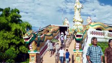Phim Gia tài của ngoại