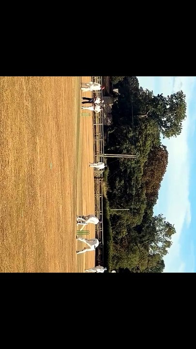 Thulina Dilshan goes to his second century of the summer against Helston on Saturday. (Video courtesy of Werrington Cricket Club).
