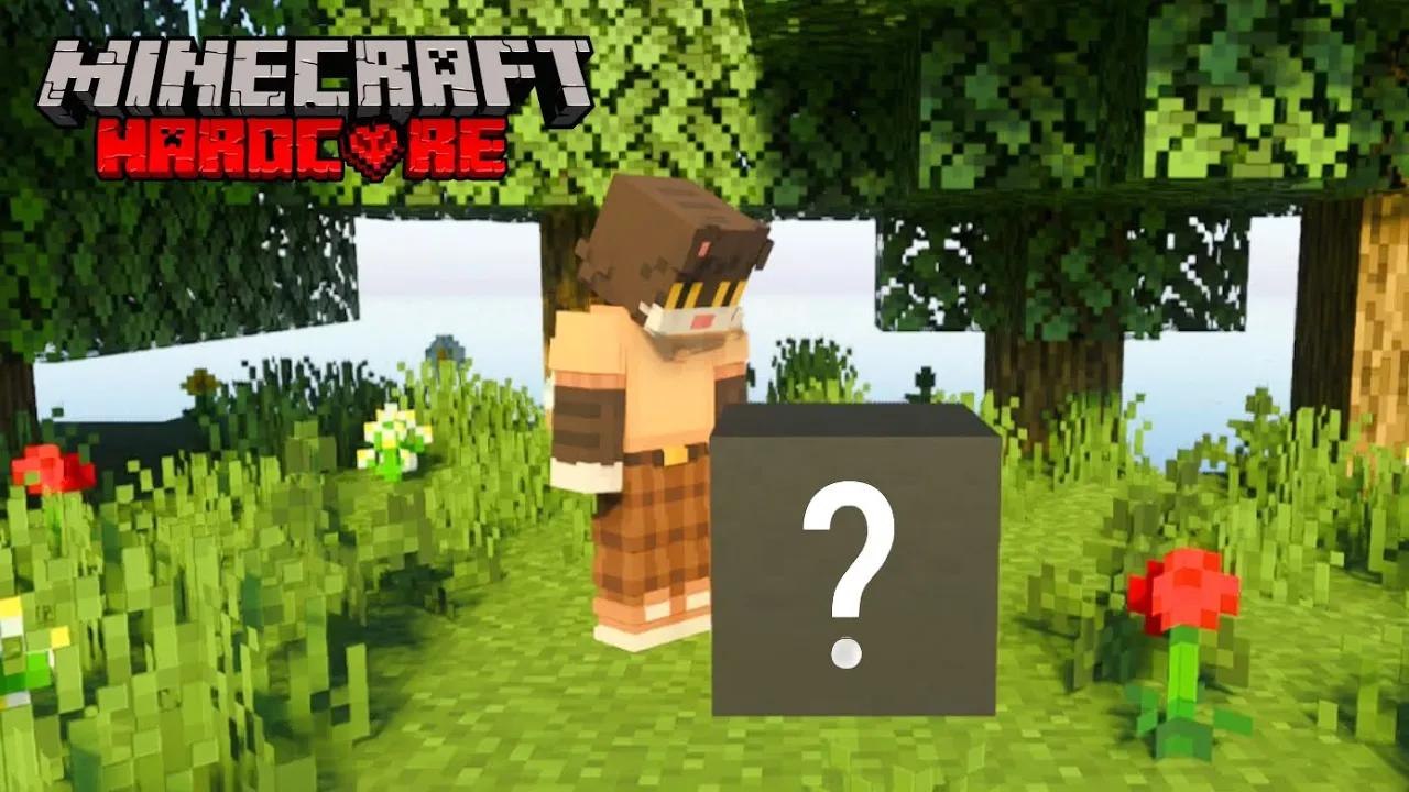 Minecraft But Every Block I Place Turns Into a Random Block
