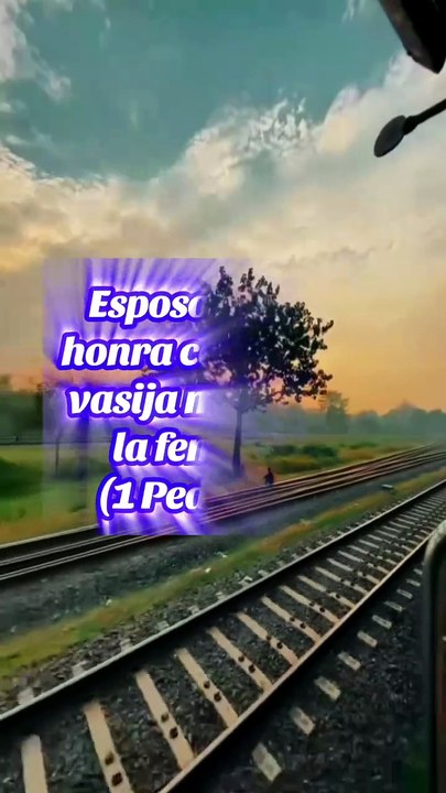 Reflexiones Bíblicas