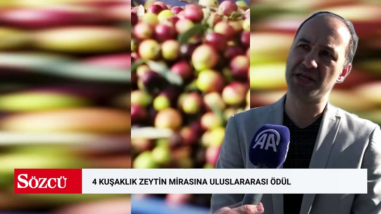 Dedelerinden kalan ağaçlardan elde ettiği zeytinyağıyla uluslararası ödül kazandı