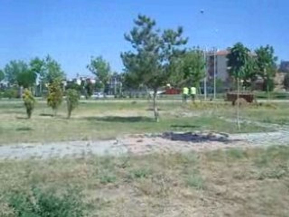 MİLLETİN GÖZÜNE BAKA BAKA