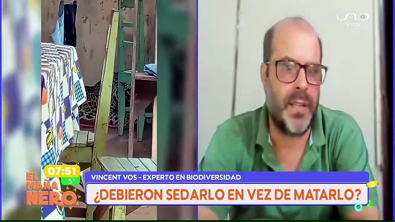 Bioc1dio en Guayaramerín