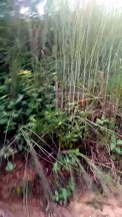 video_20260809_131036