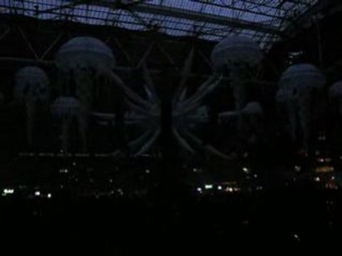 INTRO D'HURLEMENT POUR LA SENSATION BLACK ARENA