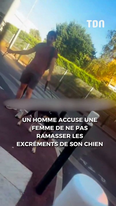 Une dispute autour d’une crotte de chien dégénère