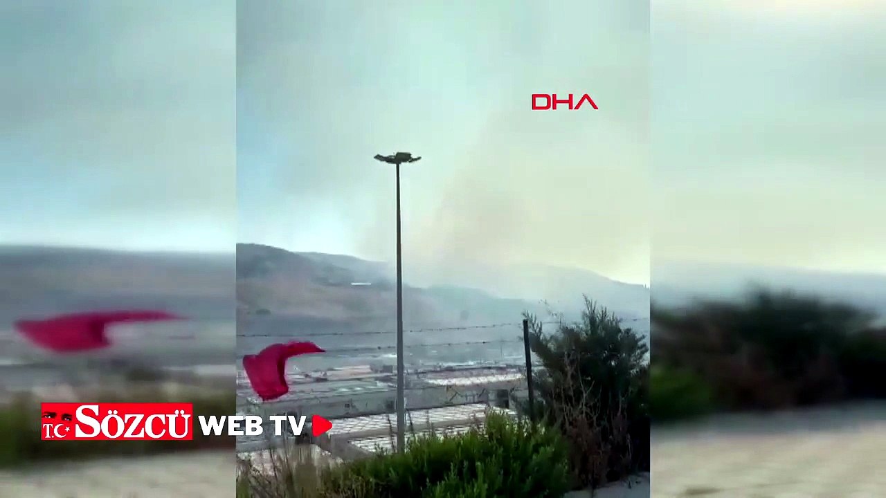 Hatay'da orman yangını