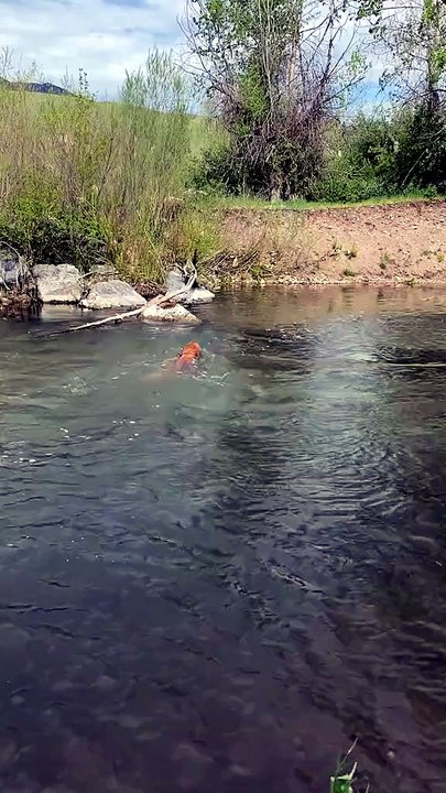 And this is why I can’t catch any fish